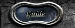 Guide